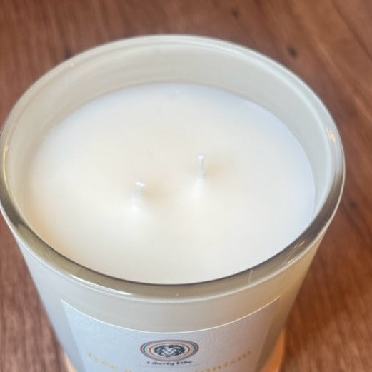 Coral- Good Health & Happiness Vibe Candle